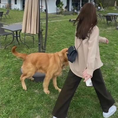 我和我的父辈
